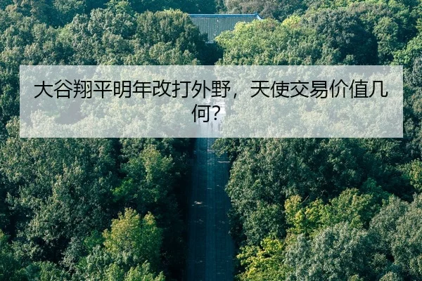 da-gu-xiang-ping-ming-nian-gai-da-wai-ye-tian-shi-jiao-yi-jia-zhi-ji-he-2-331.jpg