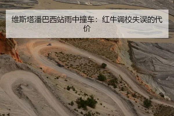 维斯塔潘巴西站雨中撞车：红牛调校失误的代价