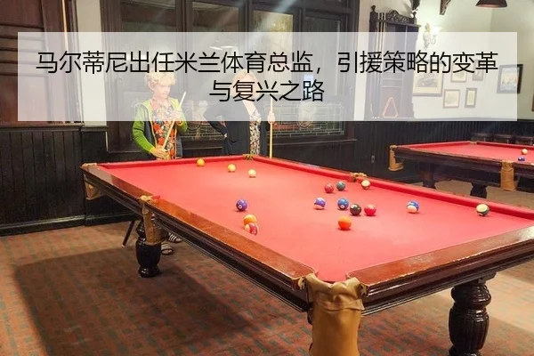 ma-er-di-ni-chu-ren-mi-lan-ti-yu-zong-jian-yin-yuan-ce-lve-de-bian-ge-yu-fu-xing-zhi-lu-2-541.jpg